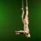 Aerial Greville - Circus Straps Act - Tutankha-Whom? - Cabaret Entertainer