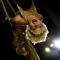 Cirque Delight - Aerial Circus Entertainers Silks Tissu Act