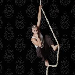 Zed - Non-Binary Aerial Art - Aerialist