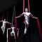 Aerial Lads - Circus Aerial Silks Entertainers
