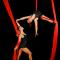Dream Aerial Silks - Circus Aerial Dancers and Acrobatics - Circus Cabaret