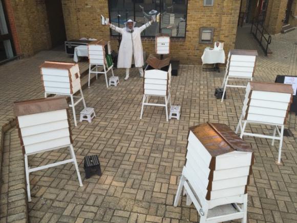 Bees - Installation of Multiple Hives - Interactive Entertainment