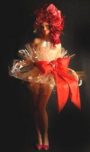 Bolli's Edibles - Wrapper Girl - Walkabout Entertainer