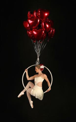 Dream Hoops - Aerial Hoops - Cabaret Circus Entertainer