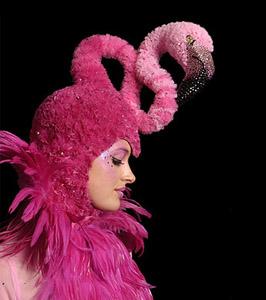Bolli's Flamingos - Stilt Walking Ostentatious Flamingo Entertinaers