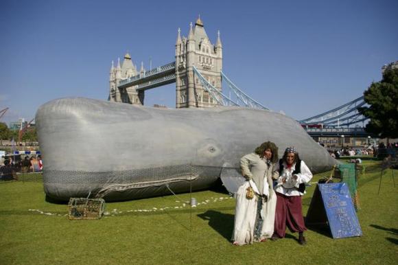 Circo Rum Ba Ba - The Whale - Show and Installation