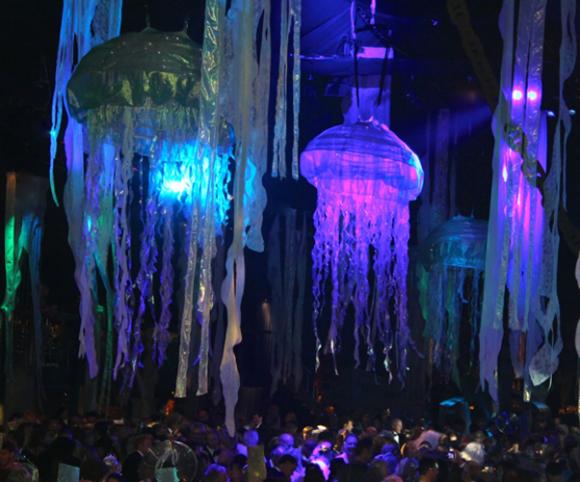 Viva Jellyfish - Under the Sea on the Sky - Aerial Entertainers